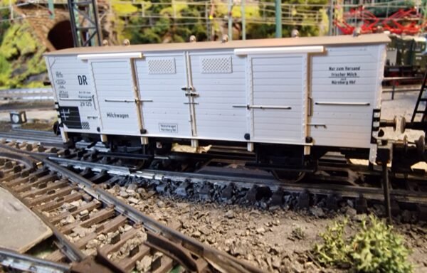 48818